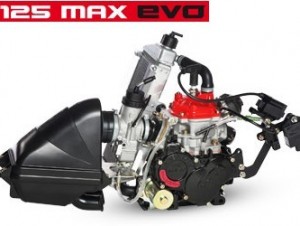 Rotax Max FR 125 EVO Micro Engine Package